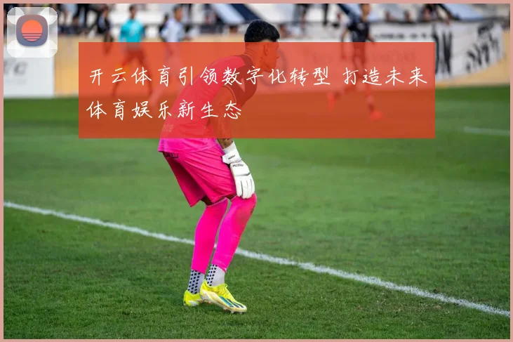 开云体育引领数字化转型 打造未来体育娱乐新生态